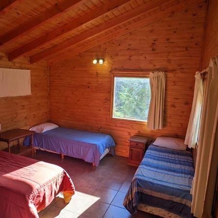 Bed and Breakfast Lo De Pablo Villa La Angostura Zewnętrze zdjęcie