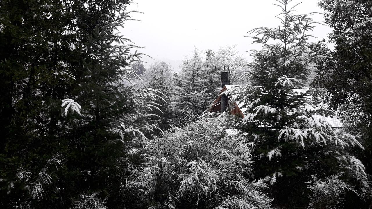 Bed and Breakfast Lo De Pablo Villa La Angostura Zewnętrze zdjęcie